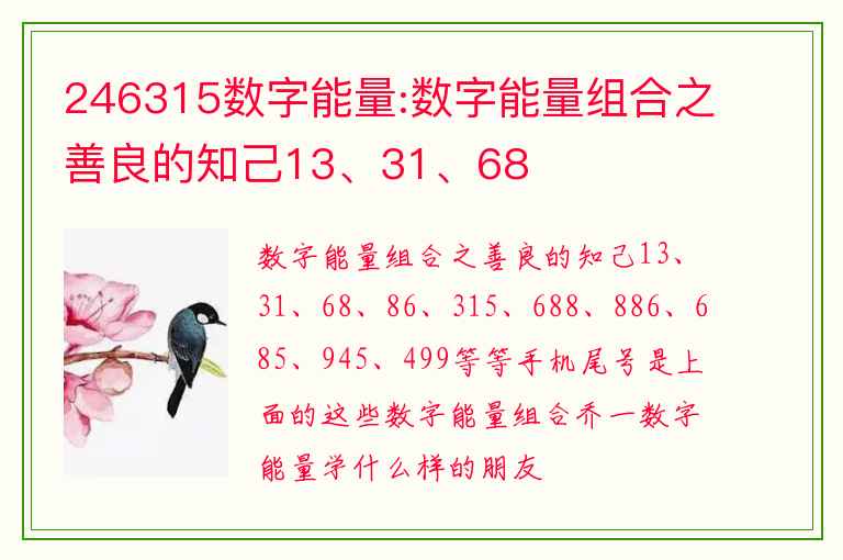 246315数字能量:数字能量组合之善良的知己13、31、68